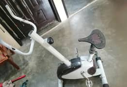 Exercise cycle
