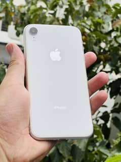 iPhone XR for Sale – 64GB Non PTA + Charger & Covers