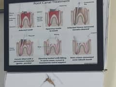 dentist