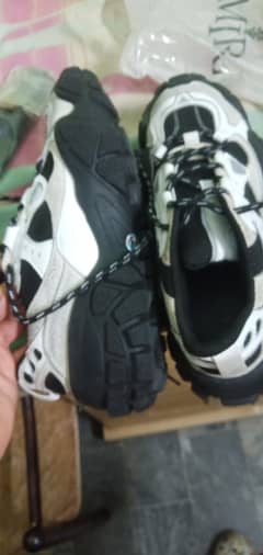 sport