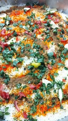 BiRyAnI house