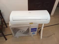 Haier