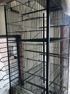 Bird cage