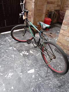 Cycle