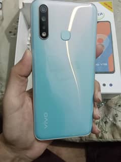 Vivo