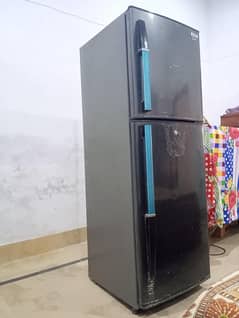 Orient medium fridge for sale