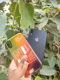 iPhone XR