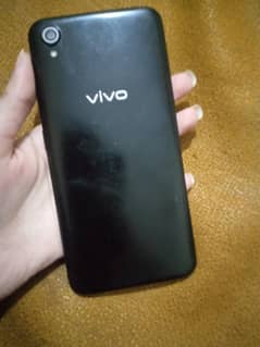Vivo 1908 For Sale.
