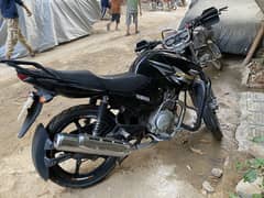 Yamaha ybr 125g with tail box and saddle bags