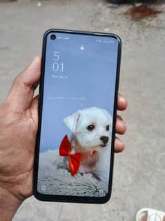 OPPO A54