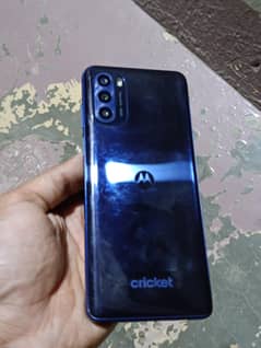 MOTOROLA