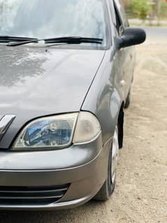 Suzuki cultus