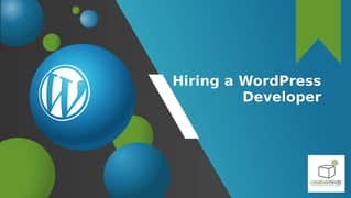 Hiring a WordPress Web Developer & Designer - SBCC Paris Road Sialkot