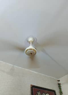 ceiling