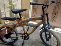 cycle