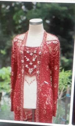 Damies for sale