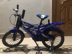 Fresh New Bicycle