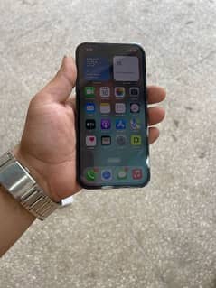 13pro