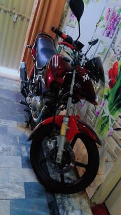 Yamaha ybr