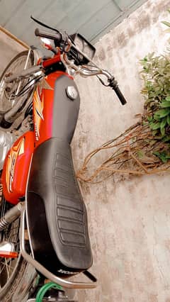 Honda 125 Model 2021