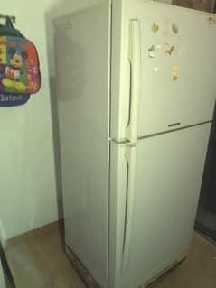 PEL. freezer 03004666722