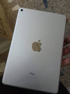 ipad mini5 64 gb