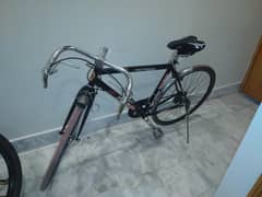 Phoenix Racing bicycle