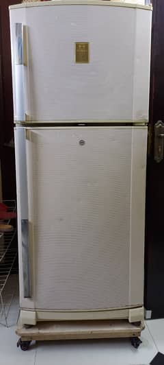 Fridge