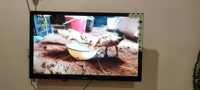 LED TV Sony