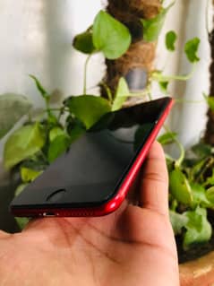 Iphone 8 plus