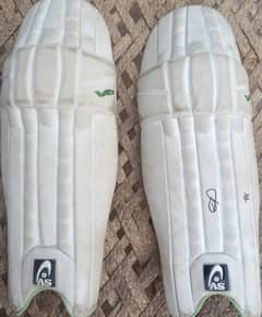 pads for cricket