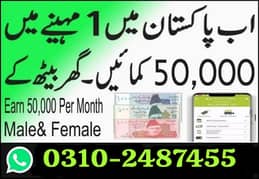 Online assignment Home based work