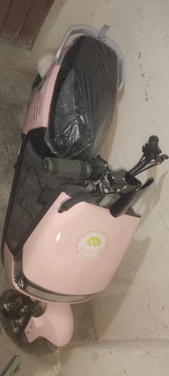 Electric Scotty 255000 company price