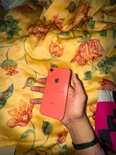 iPhone XR not PTA