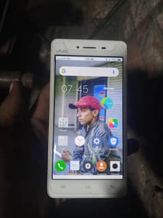 vivo