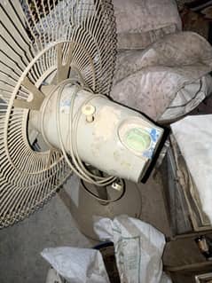 Pedestal fan sale.