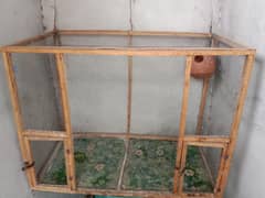 Parrots cage