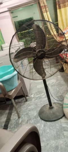 farshi fan