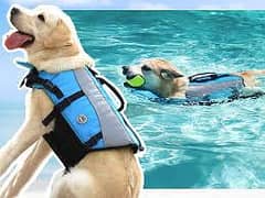 dog life jacket swimming