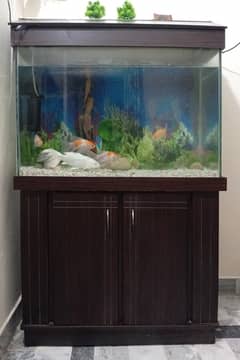 3ft Aquarium with Cabinet, Filter & 7 Beautiful Fish – Complete Setup