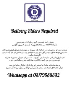 Delivery Rider