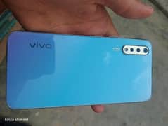 vivo