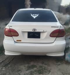 corolla
