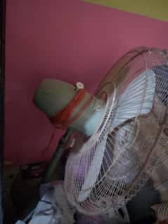 stane fan for sale
