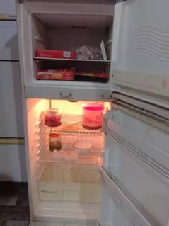 Waves medium size fridge