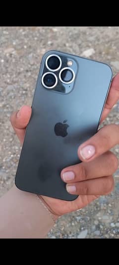 13 Pro max