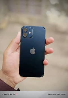 Iphone 12 10/10