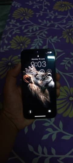 iPhone 13 128 jv