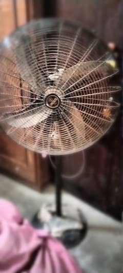 Indus Electric Fan