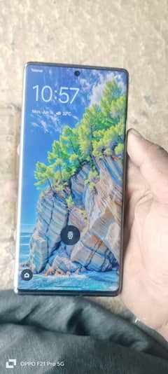 Google pixel 6 pro max
